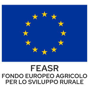 logo-bandiera europea